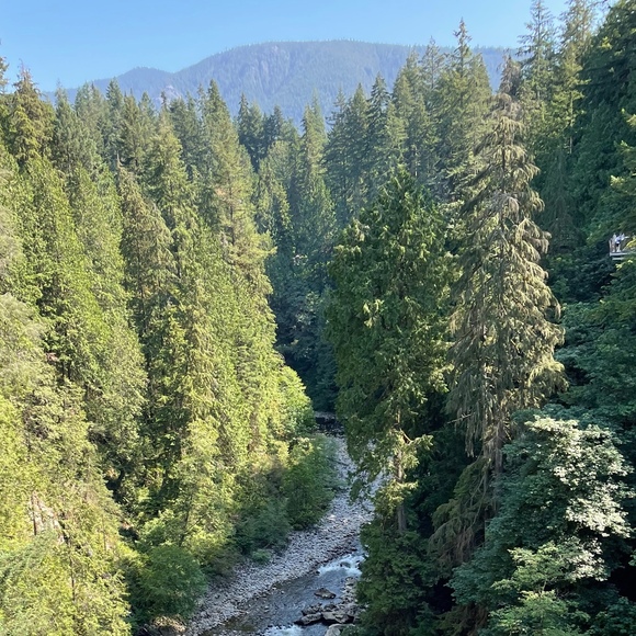 Meet your Posher, Jahlil - Picture 1 of 1